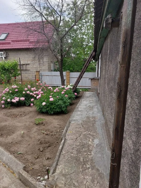 ‼️❗️срочно❗️‼️ ✨✨🏡продам дом✨✨ 📍📍📍г. Макее. .. Br>🌳очень ухоженный земельный участок, много фруктовых деревьев и кустарников ✅хоз. Постройки, гараж 📍остановка, магазины, садик, школа в шаговой доступности 📑✅документы полностью готовы к продаже 📸больше фото по запросу 💰💰💰💰3500000р ☎️☎️ +79493823418 инна - фотография - 5