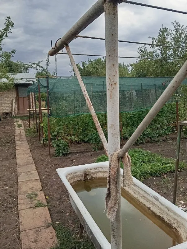 Миниатюра 2