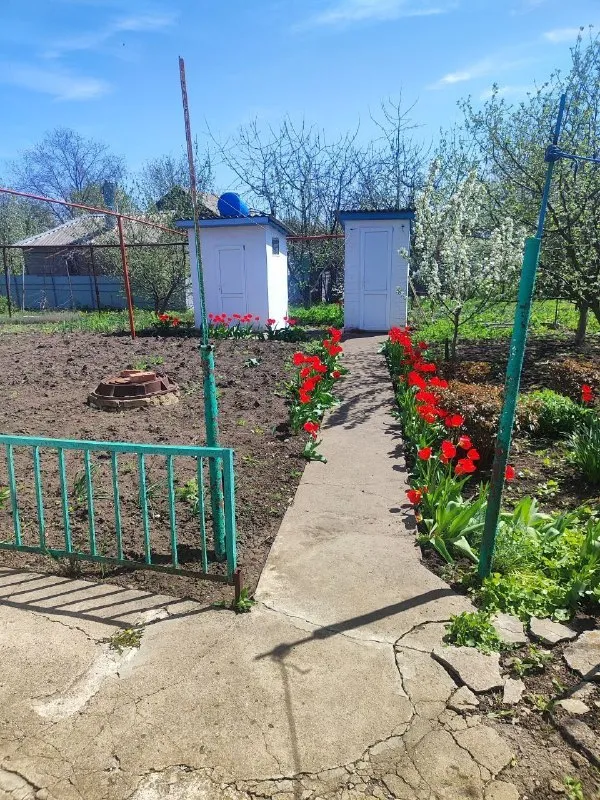 Миниатюра 2