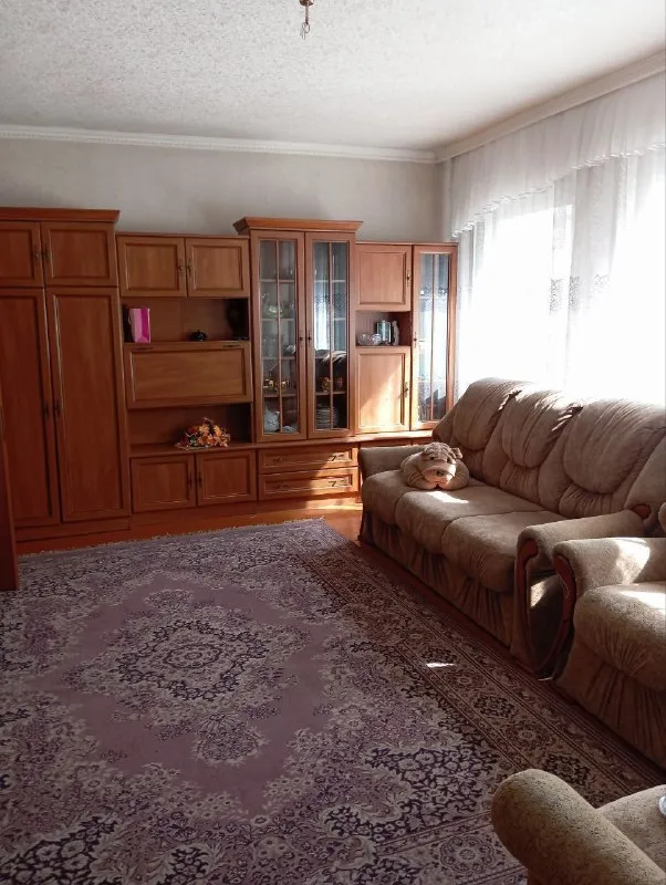 Миниатюра 7