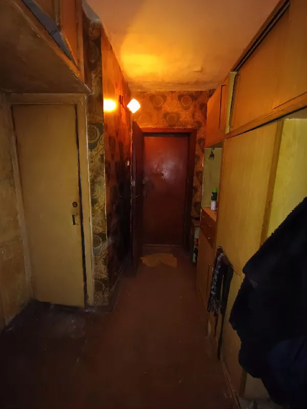 Миниатюра 6
