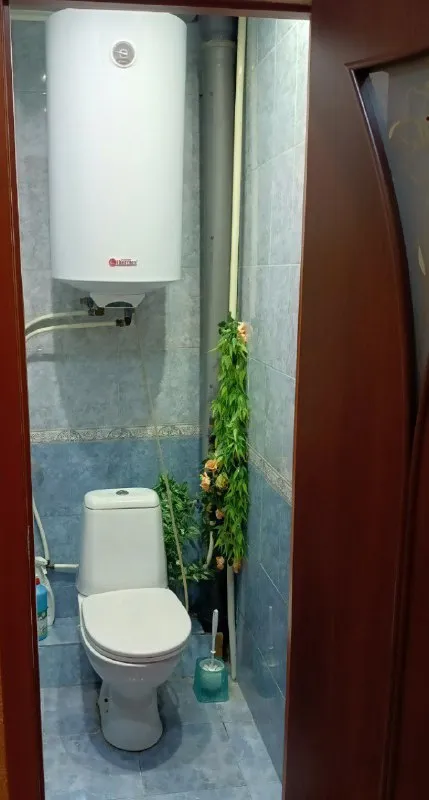 Миниатюра 10