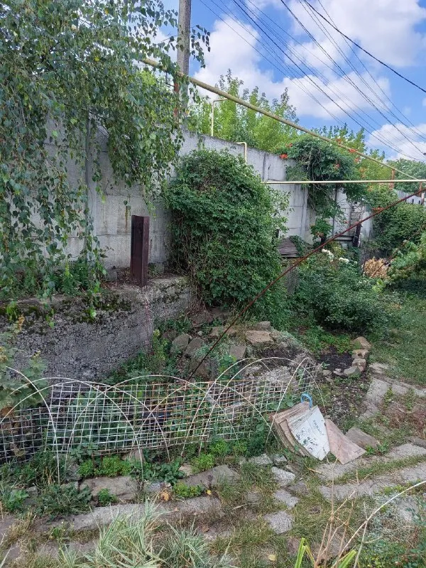 Миниатюра 4