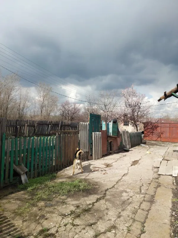 Миниатюра 3