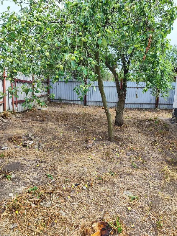 продам 2 кв на земле город: донецк 🏗район: кировский улица норильская 30 рынок этажность - 1 🚪общая площадь - 51м2 ‼️цена снижена ‼️ участок 3 сотки, вода, газ по забору, твердотовливный котёл, центральная канализация, санузел в доме, высокие потолки! ‼️во дворе флигель 2 комнатный ‼️💵цена: 1000 000 рублей без торга ☎️телефон: +7 (949) 3033091 собственник - фотография - 6