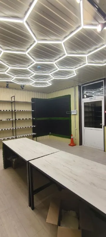 Миниатюра 8