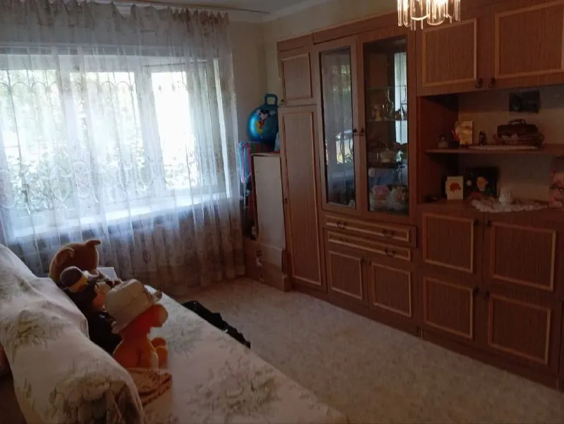 Миниатюра 4
