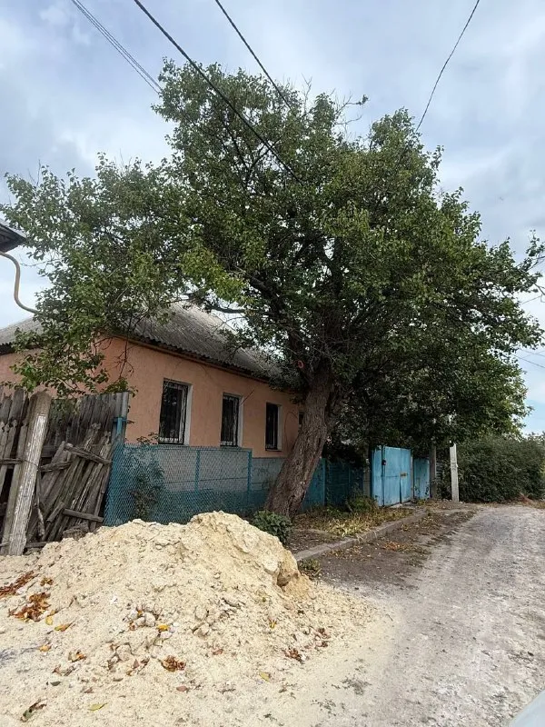 Миниатюра 2
