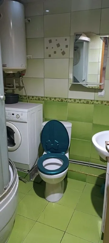 Миниатюра 7