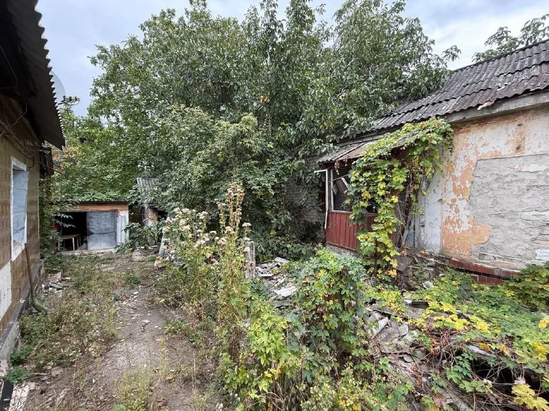 Миниатюра 4
