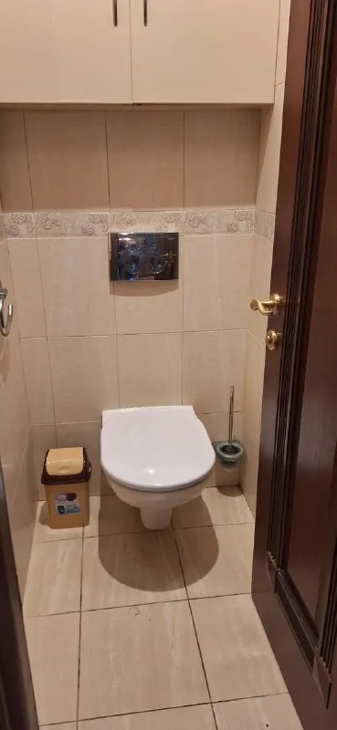 Миниатюра 8