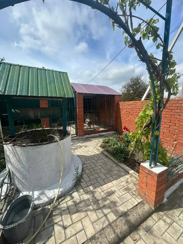 продам частный 🏡 дом 108 кв. 🌇днр, урзуф, 15 минут от моря📍 ✅2 спальни, зал, кабинет, большая кухня. санузел в доме. ⛽дом газифицирован, вода в доме, канализация-сливная яма. ✅дом крепкий, из кирпича, высота потолков 3 метра. ✅газовый котел, есть бойлер. есть летняя кухня, летний душ и туалет. а так же комнаты для отдыхающих. ✅хоз постройки, колодец. 🌊до моря 15 минут ходьбы, в шаговой доступности рынок и магазины. 📑документы готовы! 💰цена 12,500,000 ₽ (150,000 $)!  📷больше фото и информации по телефону 📲☎️+79493282386 ольга ан 📲☎️+79494181407 галина ан подписаться | дать объявление - фотография - 4