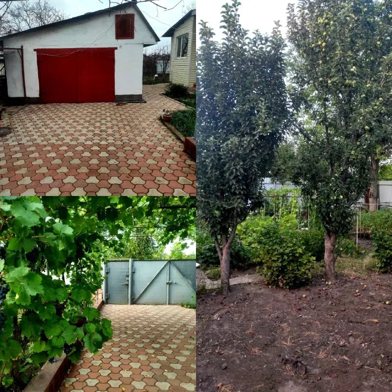 🏡продаётся газифицированная квартира на земле на два хозяина г. Енакиево днр посёлок северный, улица толбухина ✅общая площадь дома 119 м2 ✅участок 10 соток земли ✅в квартире четыре комнаты в доме три раздельные комнаты, одна проходная ✅просторная кухня с выходом на задний двор ✅есть гараж с ямой, летняя кухня и хоз постройки ✅участок ровный и ухоженный посажены плодовые деревья (вишня, черешня, яблоко, абрикос, груша, слива, персик). 🧾документы готовы 🔥собственник 💴цена: 5🍋800.000 рублей торг‼️ ☎️+7(949) 483-03-04 людмила 📨подписаться - фотография - 3