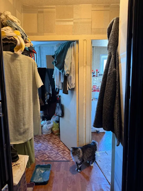 продам 1 ком квартиру пролетарский район ул щетинина 4 7/9 этаж малосемейка квартира под ремонт фотографии реальные 1 200 000₽ +79494113097 @as_01vva telegram - фотография - 6