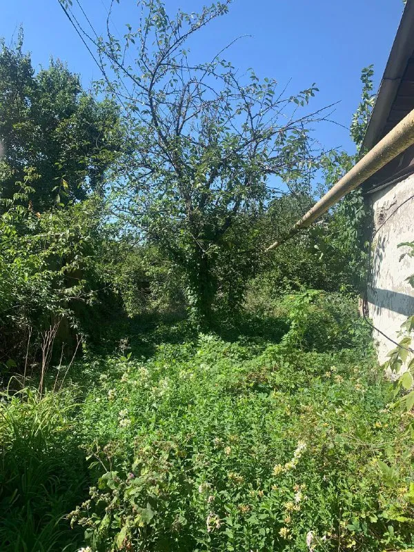 Продам дом (гараж, летняя кухня) буденновский район ул кибальчича 7 8 соток земли газ, сливная яма, свет, вода туалет на улице документы готовы 800 000₽ +79494113097 алина @as_01vva telegram - фотография - 3