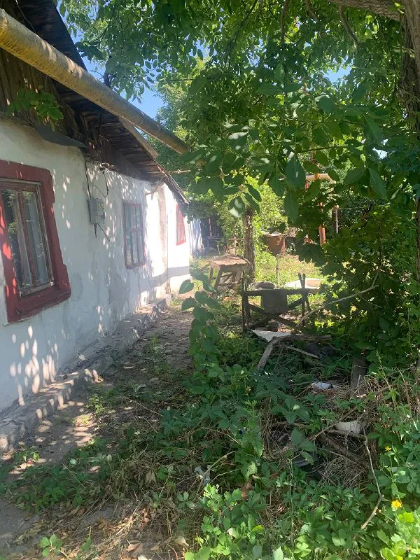 Продам дом (гараж, летняя кухня) буденновский район ул кибальчича 7 8 соток земли газ, сливная яма, свет, вода туалет на улице документы готовы 800 000₽ +79494113097 алина @as_01vva telegram - фотография - 7