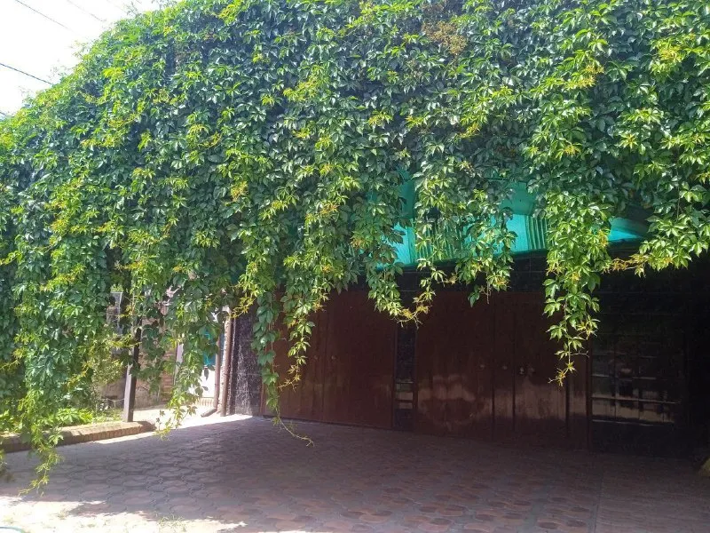 посуточно сдам частный🏡 дом 🌇донецк, улица артема 📍 🎄принимаем бронь на новогодние праздники❗️ 💦вода горячая целый день 🛜интернет ✅все условия для комфортного проживания 🍖есть зона барбекю🔥🍢🍗 🅿есть паркова для авто не агентство, собственник❗️ 💰цена 6000 ₽ за сутки ! 📲☎️+79493989523 📲☎️+79493989522 подписаться  |  дать объявление - фотография - 2