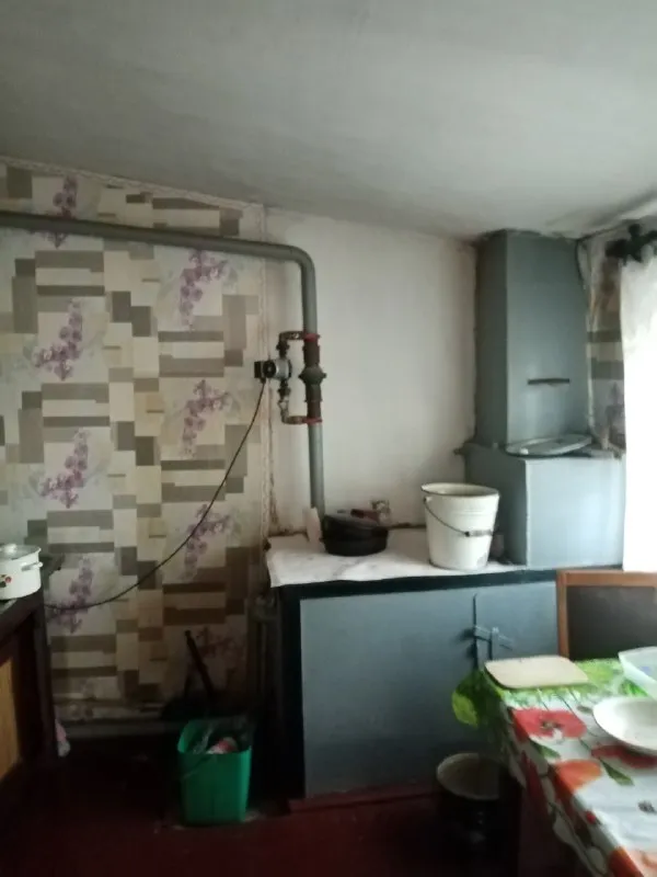 продаю дом 68кв пос нижняя крынка, есть хоз постройки гараж с смотровой ямой, большой огород, отопле... - фотография