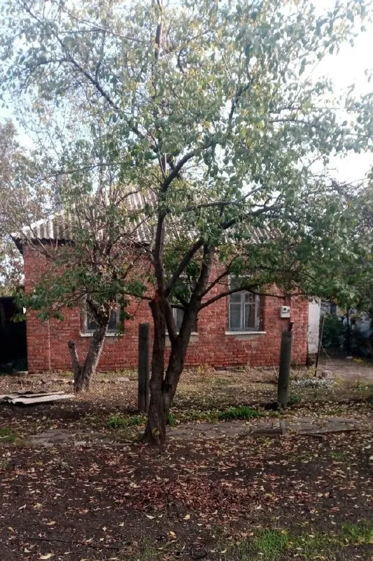 Продается газифицированный дом. Собственник, не агенство! Документы готовы 2 000 000 торг - г. Харцызск, - р-н треста  - земельный участок 5 соток (приватизирован) - s= 70 m2. Дом обложен кирпичом (кухня, прихожая, санузел, веранда, гостиная, зал, 2 спальни), высокие потолки, окна обычные, отопление - агв, газовая колонка, сливная яма, хозпостройки. Счетчики на свет и газ. В шаговой доступности автобусная остановка, 10 минут до автовокзала. Долгов нет, в доме никто не прописан. ☎тел. +7 (949) 412-43-77 виталий 📞 тел. +7 (949) 412-43-74 виктория ▪️ недвижимость большого харцызска 👈 подписаться ▪️ разместить объявление ▪️ обсудить - фотография - 3