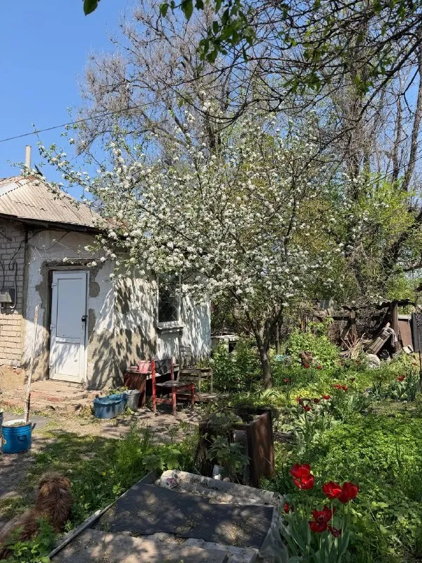 Продам квартиру на земле петровский район ул твардовского 3 2 небольшие комнаты, земля, гараж отдельный вход окна пластиковые состояние под ремонт фотографии реальные 900 000₽ +79494113097 алина @as_01vva telegram - фотография - 1