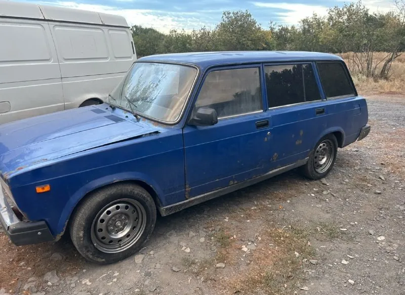 Рабочая лошадка, гнилые моменты поварены, кости крепкие, ударов невидела вообще, стекла все в круг з... - фотография