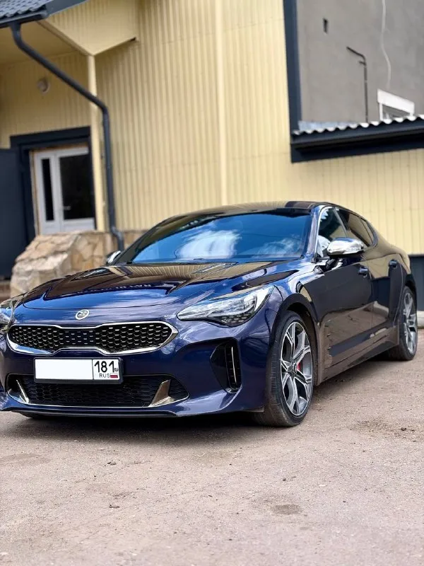 Kia stinger 2020 2л 255л. с ( задний привод) авто пригнано было для себя из южной кореи, за полтора года пользования, машина голову не делала от слова совсем, в машине есть, подогрев сидений( передних и задних), вентиляция сидений (передних), движение по полосам, радар, система предотвращения столкновений, carplay, электро ручник подогрев руля, климат контроль многозонный, в данной комплектации можно отключать стабилизацию полностью ( на полном приводе нельзя ) тормозная система brembo, установлен выхлоп регулируемый пультом, машина в родной краске, и с родным пробегом 108000, все запчасти оригинальные машина привлекает внешним видом внимание людей на улицах 2.8 торг возможен луганская область +79592686966 (тг на этом номере тоже) связь: vk. ru/id180851359 - фотография - 2