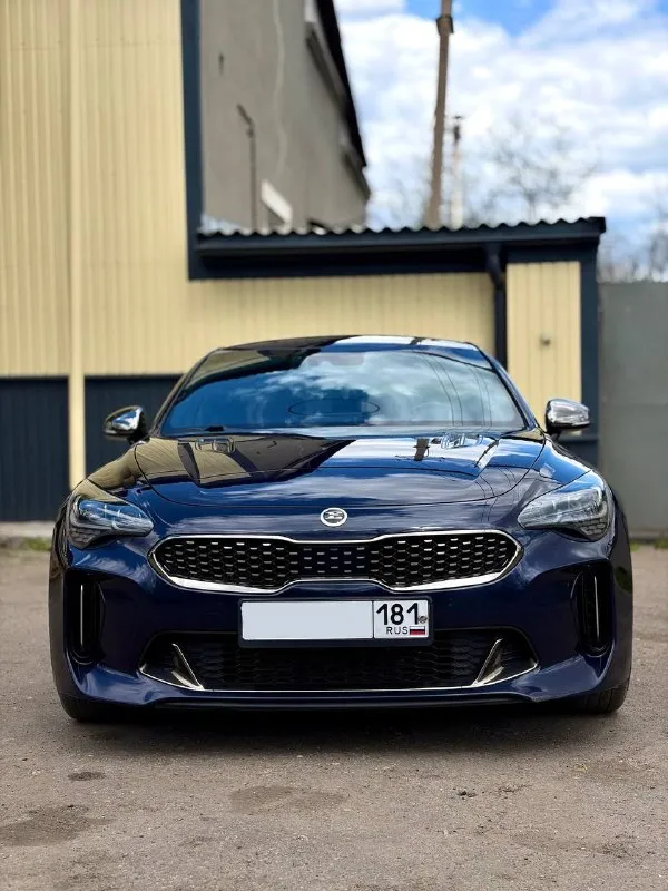 Kia stinger 2020 2л 255л. с ( задний привод) авто пригнано было для себя из южной кореи, за полтора года пользования, машина голову не делала от слова совсем, в машине есть, подогрев сидений( передних и задних), вентиляция сидений (передних), движение по полосам, радар, система предотвращения столкновений, carplay, электро ручник подогрев руля, климат контроль многозонный, в данной комплектации можно отключать стабилизацию полностью ( на полном приводе нельзя ) тормозная система brembo, установлен выхлоп регулируемый пультом, машина в родной краске, и с родным пробегом 108000, все запчасти оригинальные машина привлекает внешним видом внимание людей на улицах 2.8 торг возможен луганская область +79592686966 (тг на этом номере тоже) связь: vk. ru/id180851359 - фотография - 4