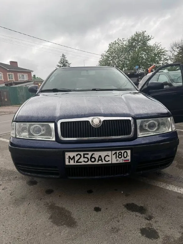 Продаю личный автомобиль skoda octavia tour 1.8t 150л. с. 2004 г. в., механика, пробег 278к. машина для своих лет в отличном состоянии, каждый день в эксплуатации, ставил только качественные запчасти, много чего поменял. авто владею три года. мотор, коробка, турбина без нареканий, лил liqui moly 5w30, турбина раздувается отлично. год назад поставил хороший свет, bi-led модули, стоит хороший газ евро-4 в полностью рабочем состоянии, вписан. установлена неплохая музыка. машина частично зашумлена. 10000 назад полностью перебирался генератор, поставил запчасти от valeo. 5000 назад установил новый комплект грм. новая летняя резина pirelli, диски r16. по комплектации: климат контроль, обогрев боковых зеркал, обогрев заднего стекла, 4 электро стеклоподъемника, электро регулировка боковых зеркал, abs, кондиционер заправлен, работает замечательн +79895274608. территориально г. ростов-на-дону. - фотография - 2