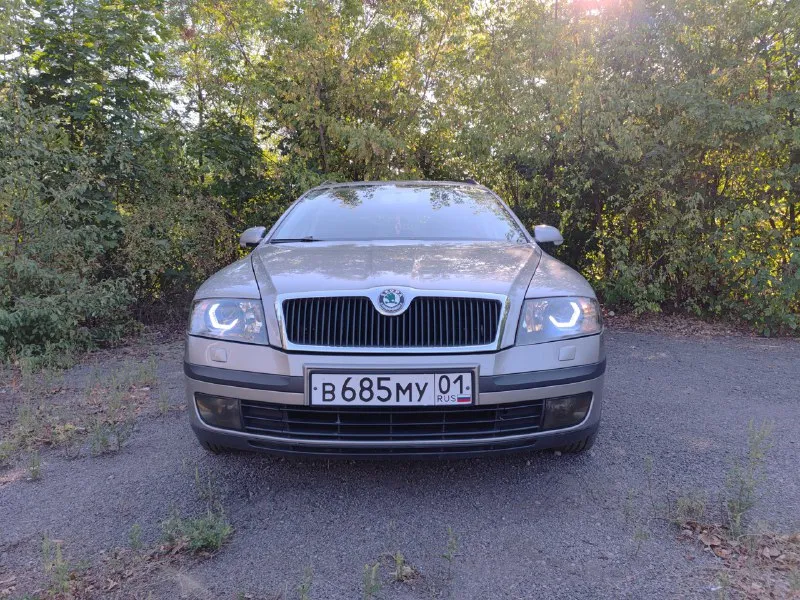 Skoda octavia a5 combi (универсал) автомобиль 2008 года выпуска, чешская сборка. пробег 346 000 километров. двигатель 1.9 tdi, bxe (105 лс). коробка механическая. крайне ресурсное сочетание силовых агрегатов. автомобиль в отличном техническом состоянии, обслужено всё, что только возможно и на лучших компонентах. подвеска, тормозные диски с перфорацией brembo, новая рулевая рейка с эур оригинал, новый акб, чистка тнвд, новый компрессор кондиционера и очень-очень много всего, расскажу по телефону или при встречи, т. к. за время владения сделал много чего, расписывать долго. турбину также проверяли, она в отличном состоянии, машина на свои 105 лошадиных сил едет очень хорошо. по комплектации, есть подогревы сидений, четыре эсп, омыватели фар, круиз-контроль, abs, esp, электронная блокировка дифференциала и помощь при подъёме в гору (блок abs стоит максимальный, с возможностью доустановки пп). два комплекта колес (лето и зима) на дисках. птс оригинал, я собственник. с автом 📞 звоните: +7(949)0891332 - фотография - 3