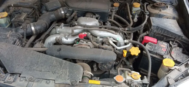 Продам subaru форестер sh 2008 года выпуска пробег 253000 км пробег реальный. автомобиль в отличном состоянии полностью обслужен, я один владелец документы в порядке, штрафов и ограничений нет. хороший и надёжный автомобиль : постоянный полный привод, кпп механика есть пониженная передача, система курсовой стабилизации, независимая подвеска, электростеклоподъемники 4, круиз контроль, мультируль с управлением аудио системой и круизом магнитола на 6 дисков, сигнализация с обратной связью, климат контроль, подогрев сидений перед и зад, гур, легкосплавные диски r17. цена 1350000 руб. т. +79493207313 александр. 📞 +7(949)3207313 📞 звоните: +7(949)3207313 - фотография - 10