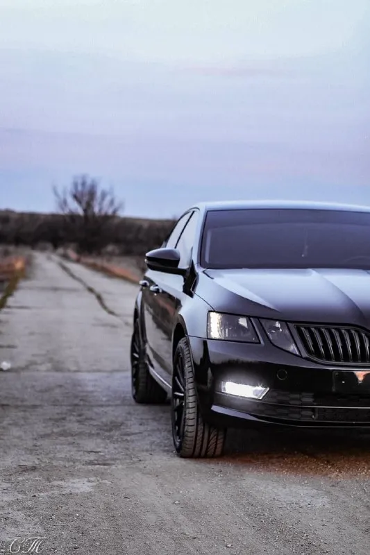Продам skoda octavia a7, 1.6mpi, автомат 6ст, ноябрь 2017 г. в., пробег 183, без вложений, салон кожа с алькантарой, шумоизоляция (все кроме крыши, пола и арок), музыка усилитель динамики, акт. буфер, андроид магнитола 10.1 tyes. 1.6 🍋 енакиево, торг. доп вопросы по телефону 79493285024 📞 звоните: +7(949)3285024 - фотография - 10
