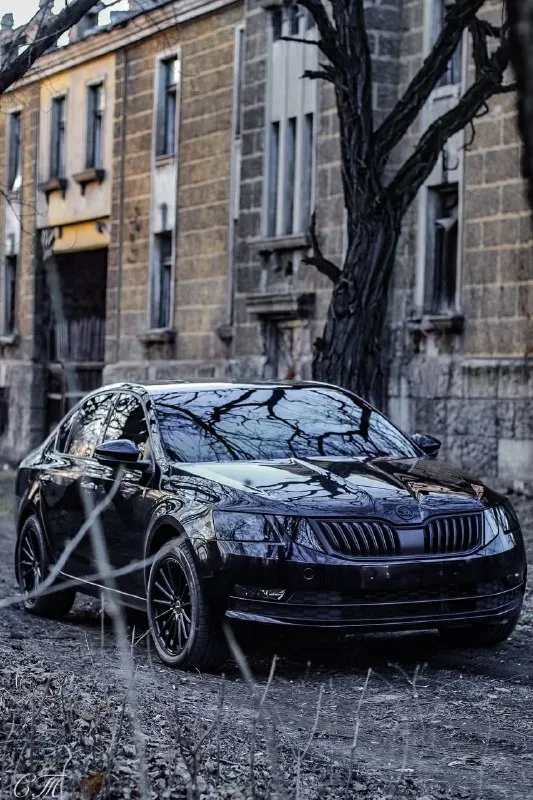 Продам skoda octavia a7, 1.6mpi, автомат 6ст, ноябрь 2017 г. в., пробег 183, без вложений, салон кожа с алькантарой, шумоизоляция (все кроме крыши, пола и арок), музыка усилитель динамики, акт. буфер, андроид магнитола 10.1 tyes. 1.6 🍋 енакиево, торг. доп вопросы по телефону 79493285024 📞 звоните: +7(949)3285024 - фотография - 6