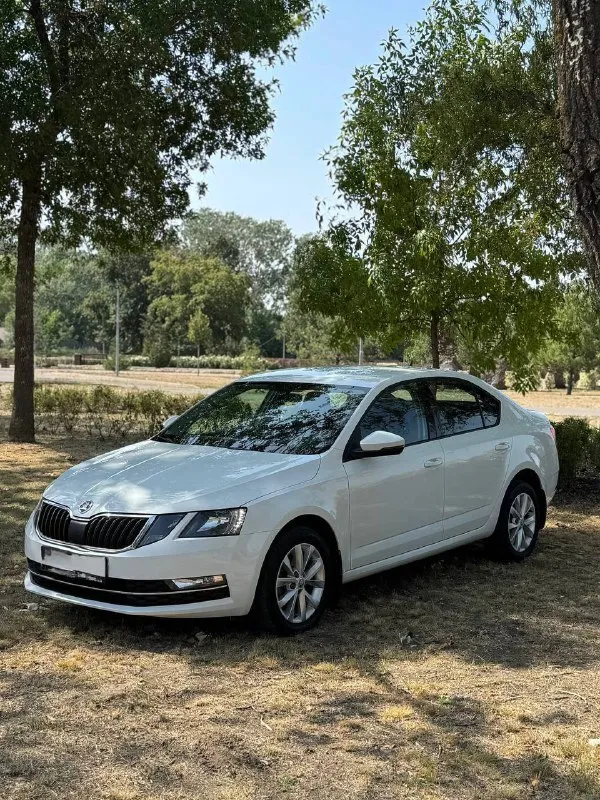 🇨🇿 skoda octavia a7 💰цена: 1 555 000р 🏢город: мариуполь 📅год выпуска: 2019 🧾пробег: 148 186 км. ⚙️двигатель: 1.6 ⛽топливо: бензин ⚙️кпп: механика 📞 телефон: +7-949-727-41-51 +7-989-263-55-56 +7-949-551-91-52 💾 описание: ✅ один владелец, птс оригинал. ✅ надежный двигатель cwv ✅ техническая часть на 5+ ✅ оригинальный пробег. ✅ родная краска 💯% ✅ рестайлинг. улица шевченко 269 ⚠️бесплатно доставим этот или другой автомобиль в донецк, макеевку, бердянск, мелитополь и другие города новых территорий после детального видеообзора со всевозможными диагностиками⚠️ 🏦 возможна продажа в кредит по двум документам. - фотография - 1