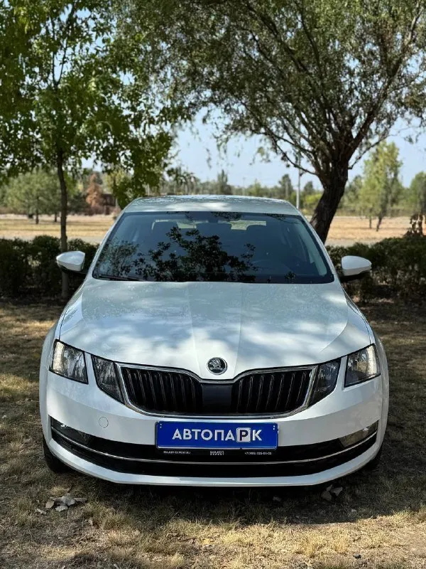 🇨🇿 skoda octavia a7 💰цена: 1 555 000р 🏢город: мариуполь 📅год выпуска: 2019 🧾пробег: 148 186 км. ⚙️двигатель: 1.6 ⛽топливо: бензин ⚙️кпп: механика 📞 телефон: +7-949-727-41-51 +7-989-263-55-56 +7-949-551-91-52 💾 описание: ✅ один владелец, птс оригинал. ✅ надежный двигатель cwv ✅ техническая часть на 5+ ✅ оригинальный пробег. ✅ родная краска 💯% ✅ рестайлинг. улица шевченко 269 ⚠️бесплатно доставим этот или другой автомобиль в донецк, макеевку, бердянск, мелитополь и другие города новых территорий после детального видеообзора со всевозможными диагностиками⚠️ 🏦 возможна продажа в кредит по двум документам. - фотография - 2