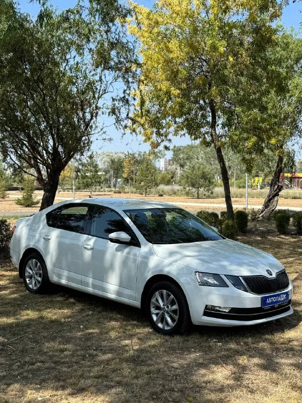 🇨🇿 skoda octavia a7 💰цена: 1 555 000р 🏢город: мариуполь 📅год выпуска: 2019 🧾пробег: 148 186 км. ⚙️двигатель: 1.6 ⛽топливо: бензин ⚙️кпп: механика 📞 телефон: +7-949-727-41-51 +7-989-263-55-56 +7-949-551-91-52 💾 описание: ✅ один владелец, птс оригинал. ✅ надежный двигатель cwv ✅ техническая часть на 5+ ✅ оригинальный пробег. ✅ родная краска 💯% ✅ рестайлинг. улица шевченко 269 ⚠️бесплатно доставим этот или другой автомобиль в донецк, макеевку, бердянск, мелитополь и другие города новых территорий после детального видеообзора со всевозможными диагностиками⚠️ 🏦 возможна продажа в кредит по двум документам. - фотография - 3