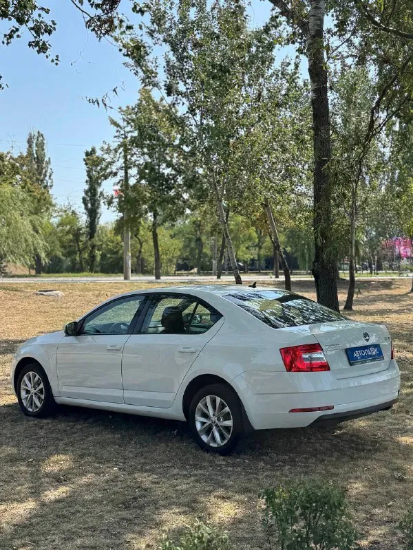 🇨🇿 skoda octavia a7 💰цена: 1 555 000р 🏢город: мариуполь 📅год выпуска: 2019 🧾пробег: 148 186 км. ⚙️двигатель: 1.6 ⛽топливо: бензин ⚙️кпп: механика 📞 телефон: +7-949-727-41-51 +7-989-263-55-56 +7-949-551-91-52 💾 описание: ✅ один владелец, птс оригинал. ✅ надежный двигатель cwv ✅ техническая часть на 5+ ✅ оригинальный пробег. ✅ родная краска 💯% ✅ рестайлинг. улица шевченко 269 ⚠️бесплатно доставим этот или другой автомобиль в донецк, макеевку, бердянск, мелитополь и другие города новых территорий после детального видеообзора со всевозможными диагностиками⚠️ 🏦 возможна продажа в кредит по двум документам. - фотография - 4