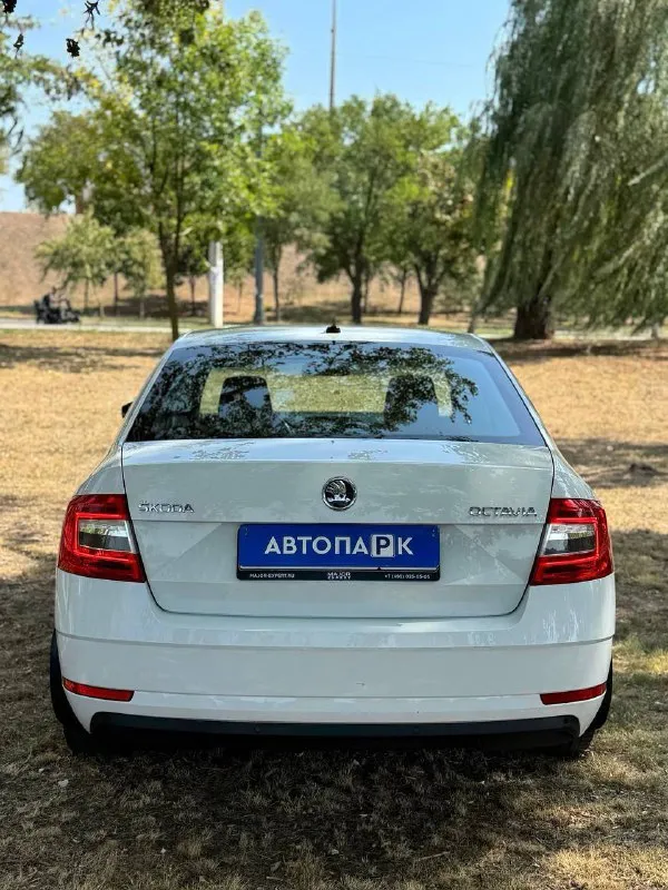🇨🇿 skoda octavia a7 💰цена: 1 555 000р 🏢город: мариуполь 📅год выпуска: 2019 🧾пробег: 148 186 км. ⚙️двигатель: 1.6 ⛽топливо: бензин ⚙️кпп: механика 📞 телефон: +7-949-727-41-51 +7-989-263-55-56 +7-949-551-91-52 💾 описание: ✅ один владелец, птс оригинал. ✅ надежный двигатель cwv ✅ техническая часть на 5+ ✅ оригинальный пробег. ✅ родная краска 💯% ✅ рестайлинг. улица шевченко 269 ⚠️бесплатно доставим этот или другой автомобиль в донецк, макеевку, бердянск, мелитополь и другие города новых территорий после детального видеообзора со всевозможными диагностиками⚠️ 🏦 возможна продажа в кредит по двум документам. - фотография - 5