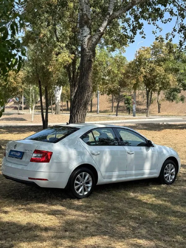 🇨🇿 skoda octavia a7 💰цена: 1 555 000р 🏢город: мариуполь 📅год выпуска: 2019 🧾пробег: 148 186 км. ⚙️двигатель: 1.6 ⛽топливо: бензин ⚙️кпп: механика 📞 телефон: +7-949-727-41-51 +7-989-263-55-56 +7-949-551-91-52 💾 описание: ✅ один владелец, птс оригинал. ✅ надежный двигатель cwv ✅ техническая часть на 5+ ✅ оригинальный пробег. ✅ родная краска 💯% ✅ рестайлинг. улица шевченко 269 ⚠️бесплатно доставим этот или другой автомобиль в донецк, макеевку, бердянск, мелитополь и другие города новых территорий после детального видеообзора со всевозможными диагностиками⚠️ 🏦 возможна продажа в кредит по двум документам. - фотография - 6