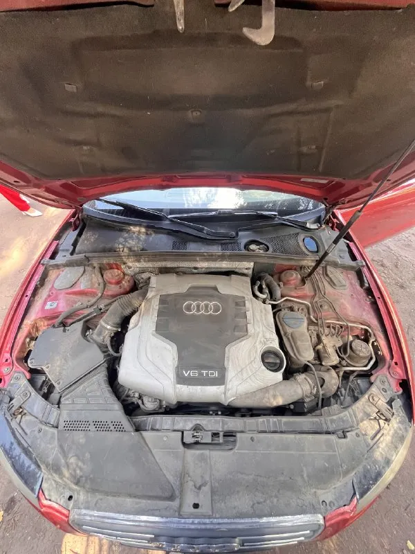 Продаю audi а5 8т 3.0 tdi quattro 2008год масло не ест 0-100 5.5 сек коробка zf автомат ( не робот, не вариатор) ходовка хорошая двигатель в отличном состоянии по кузову требуется приложить руку в комплекте зимняя резина (липучка), лето континенталь контакт 6 пробег 278тысяч 1 200 000 р торг. посмотреть можно в г. енакиево +79495598808 иван 📞 звоните: +7(949)5598808 - фотография - 8
