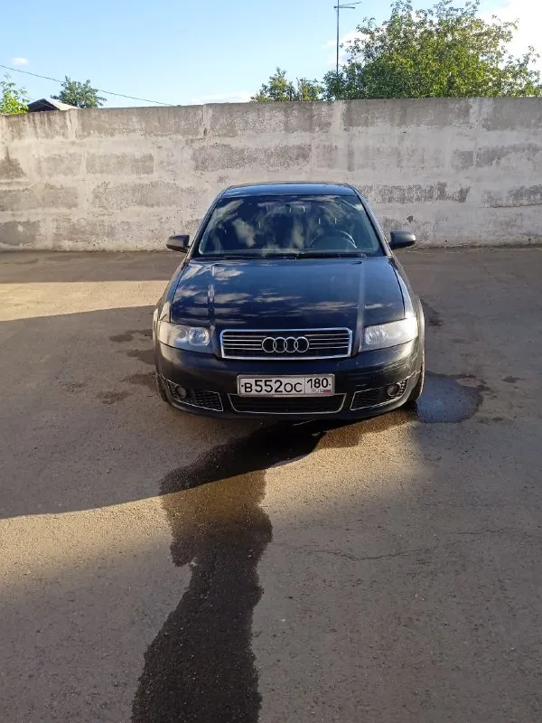 Продам ауди а4 б6 2.4bdv 2004г. в 6ст механика полный привод кватро, машина на каждый день два комплекта колёс р18 лето и р16 зима би лед линзы и много чего ещё. я собственник. цена 540т. руб тел. +79493719074 - фотография - 6