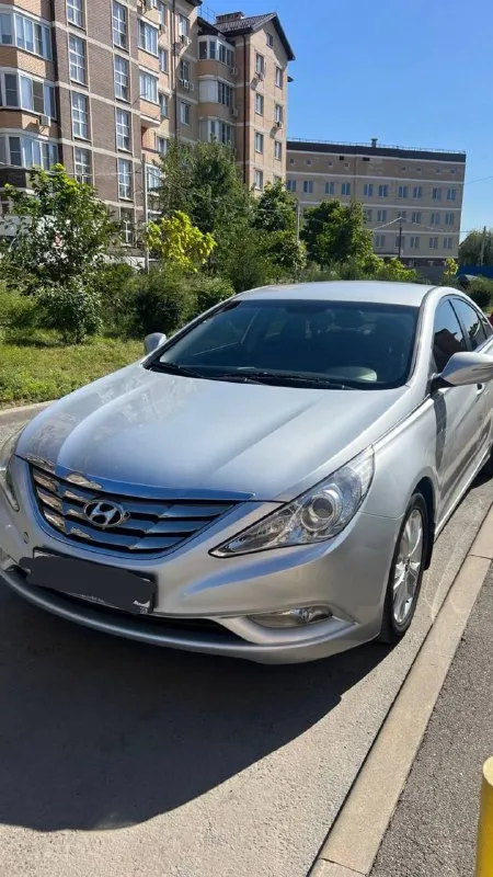 Продам hyundai sonata 2011 года выпуска. хозяин 1, документы в порядке. просмотр возможен в г. ростов-на-дону (по необходимости можем пригнать в донецк, днр) обращаться по тел. : +79494512062, 89770165706 пробег, км: 160 000 поколение: vi (2009-2014) тип двигателя: бензин привод: передний мощность, л. с.: 178 модификация: 2.4 ат (178 л. с.) руль: левый цвет: серый тип автомобиля: с пробегом состояние: не битый птс: оригинал владельцев по птс: 1 обмен: не интересует **** просмотр возможен в г. ростов-на-дону, по необходимости пригон в донецк стоимость 1150000 руб 💰 - фотография - 2