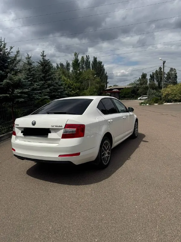 Продаю skoda octavia а7 ✅ год 2014✅ мотор 1.4 турбо ✅ коробка механическая ✅ без дтп ✅ машина чешской сборки✅ 2014 год(машина всю жизнь в одних руках с автосалона) механическая трансмиссия 237 000 пробега масло не кушает, в отличном состоянии, рыжиков и гнили нет, отличная динамика и управляемость, кондиционер работает все подогревы работают, нет ни единой ошибки, ничего не стучит, не гремит, не торохтит, салон в отличном состоянии, ничего не затерто и не замято,17 кованные диски на резине мишлен, зима на оригинальных дисках шипованых шинах(тоже мишлен), за машиной следили и обслуживали раньше положенного времени, замена масла каждые 6000км, колодки и тормозные диски в круг ate, по машине ничего делать не нужно, сел и поехал куда угодно, уверен кто первый приедет, тот и заберет. за более подробной информацией звоните. цена: 955.000 осмотр: г. макеевка телефон для связи +7 949 485 64 94 (телеграмм) - фотография - 2