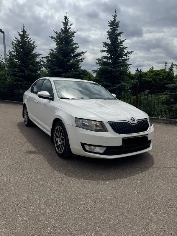 Продаю skoda octavia а7 ✅ год 2014✅ мотор 1.4 турбо ✅ коробка механическая ✅ без дтп ✅ машина чешской сборки✅ 2014 год(машина всю жизнь в одних руках с автосалона) механическая трансмиссия 237 000 пробега масло не кушает, в отличном состоянии, рыжиков и гнили нет, отличная динамика и управляемость, кондиционер работает все подогревы работают, нет ни единой ошибки, ничего не стучит, не гремит, не торохтит, салон в отличном состоянии, ничего не затерто и не замято,17 кованные диски на резине мишлен, зима на оригинальных дисках шипованых шинах(тоже мишлен), за машиной следили и обслуживали раньше положенного времени, замена масла каждые 6000км, колодки и тормозные диски в круг ate, по машине ничего делать не нужно, сел и поехал куда угодно, уверен кто первый приедет, тот и заберет. за более подробной информацией звоните. цена: 955.000 осмотр: г. макеевка телефон для связи +7 949 485 64 94 (телеграмм) - фотография - 3