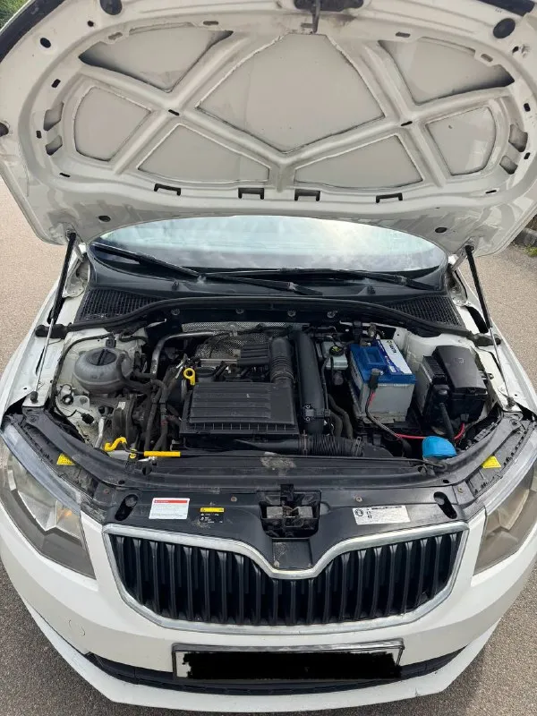 Продаю skoda octavia а7 ✅ год 2014✅ мотор 1.4 турбо ✅ коробка механическая ✅ без дтп ✅ машина чешской сборки✅ 2014 год(машина всю жизнь в одних руках с автосалона) механическая трансмиссия 237 000 пробега масло не кушает, в отличном состоянии, рыжиков и гнили нет, отличная динамика и управляемость, кондиционер работает все подогревы работают, нет ни единой ошибки, ничего не стучит, не гремит, не торохтит, салон в отличном состоянии, ничего не затерто и не замято,17 кованные диски на резине мишлен, зима на оригинальных дисках шипованых шинах(тоже мишлен), за машиной следили и обслуживали раньше положенного времени, замена масла каждые 6000км, колодки и тормозные диски в круг ate, по машине ничего делать не нужно, сел и поехал куда угодно, уверен кто первый приедет, тот и заберет. за более подробной информацией звоните. цена: 955.000 осмотр: г. макеевка телефон для связи +7 949 485 64 94 (телеграмм) - фотография - 5