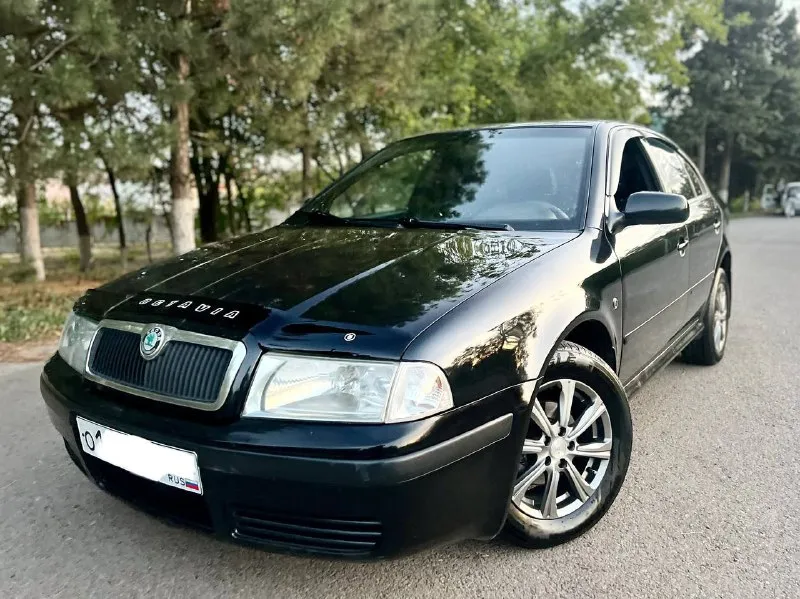 Skoda octavia tour 1.6л mpi в идеальном состоянии! куплена в 2009 году. авто обслужен и не требует в... - фотография