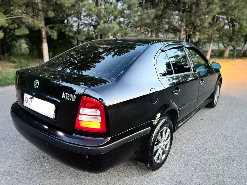Skoda octavia tour 1.6л mpi в идеальном состоянии! куплена в 2009 году. авто обслужен и не требует вложений. недавно было сделано т. о с заменой грм, помпы, масла, фильтра, свечи. вся геометрия идеально ровная, вся безопасность на месте, все герметики и швы заводские! техническое состояние идеал! двигатель 1.6л. как часы, работает тихо, масло грамма не берёт. кпп и подвеска на отлично. комплектация; кондиционер(заправлен и дует❄️). гур. подушки безопасности. abs. esp. эл. стеклоподъемники. кожаный руль. парктроники. титановые диски. шумоизоляция салона. мультимедиа с bluetooth камера заднего вида. новая резина. сигнализация с автозапуском. кожаные чехлы. состояние кузова очень живое, весь ровный как струна, выглядит так же как на фото. без ржавчины! соответственно и гнили тоже нет, не сверху, не снизу и не внутри! днище, пороги, стаканы, лонжероны! арки крыльев, низа дверей целое, в первозданном виде. по салону всё чисто и опрятно, багажник просто огроменный. 2 ключа г. донецк. 💰цена 615.000₽💰 📞 +7 (949) 411-53-00 - фотография - 6