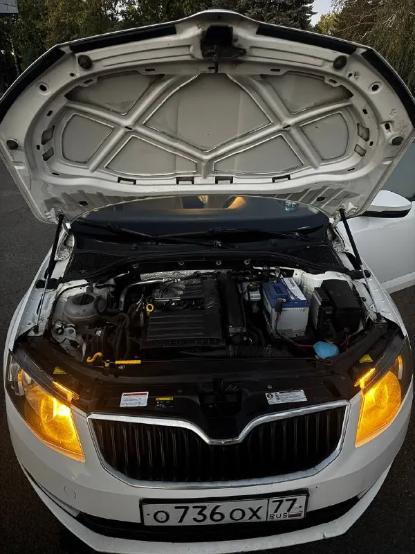 Продам skoda octavia а7 1.4 tsi 2014 г. в ✅(чешской сборки, не путайте с калугой) автомобиль в идеальном состоянии, двигатель 1.4 tsi обслужен от а до я, родной пробег 235 000 км, комплектация очень богатая : 2х зонный климат контроль, подогревы сидений, туманки, круиз контроль, датчик света и дождя, датчик спущенных колес, складываемые электро зеркала с подогревом, полный эл. стекло пакет, сигнализация, кованные диски на летней резине, так же зима на родных легкосплавных дисках, тормозные диски и колодки новые(оригинал), машина не была в дтп,1 хозяин с автосалона, авто останетесь довольны, стекла все родные включая лобовое ! стоимость авто: ✅ 890 000 рублей ✅ телефон для связи: +7 949 485 64 94 - фотография - 10