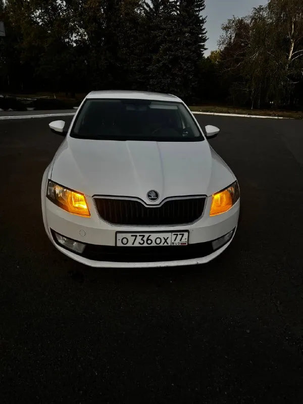 Продам skoda octavia а7 1.4 tsi 2014 г. в ✅(чешской сборки, не путайте с калугой) автомобиль в идеальном состоянии, двигатель 1.4 tsi обслужен от а до я, родной пробег 235 000 км, комплектация очень богатая : 2х зонный климат контроль, подогревы сидений, туманки, круиз контроль, датчик света и дождя, датчик спущенных колес, складываемые электро зеркала с подогревом, полный эл. стекло пакет, сигнализация, кованные диски на летней резине, так же зима на родных легкосплавных дисках, тормозные диски и колодки новые(оригинал), машина не была в дтп,1 хозяин с автосалона, авто останетесь довольны, стекла все родные включая лобовое ! стоимость авто: ✅ 890 000 рублей ✅ телефон для связи: +7 949 485 64 94 - фотография - 2
