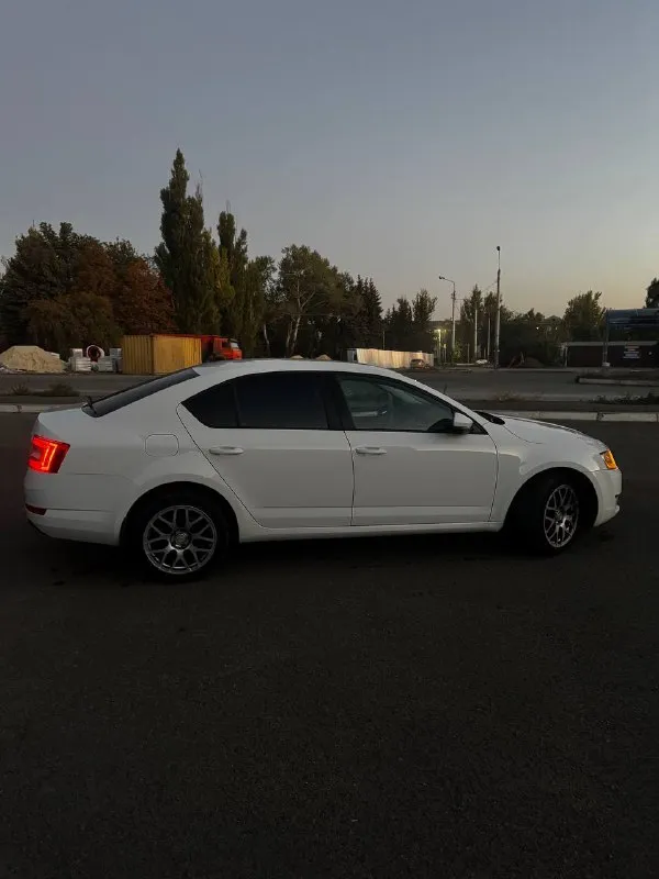 Продам skoda octavia а7 1.4 tsi 2014 г. в ✅(чешской сборки, не путайте с калугой) автомобиль в идеальном состоянии, двигатель 1.4 tsi обслужен от а до я, родной пробег 235 000 км, комплектация очень богатая : 2х зонный климат контроль, подогревы сидений, туманки, круиз контроль, датчик света и дождя, датчик спущенных колес, складываемые электро зеркала с подогревом, полный эл. стекло пакет, сигнализация, кованные диски на летней резине, так же зима на родных легкосплавных дисках, тормозные диски и колодки новые(оригинал), машина не была в дтп,1 хозяин с автосалона, авто останетесь довольны, стекла все родные включая лобовое ! стоимость авто: ✅ 890 000 рублей ✅ телефон для связи: +7 949 485 64 94 - фотография - 4