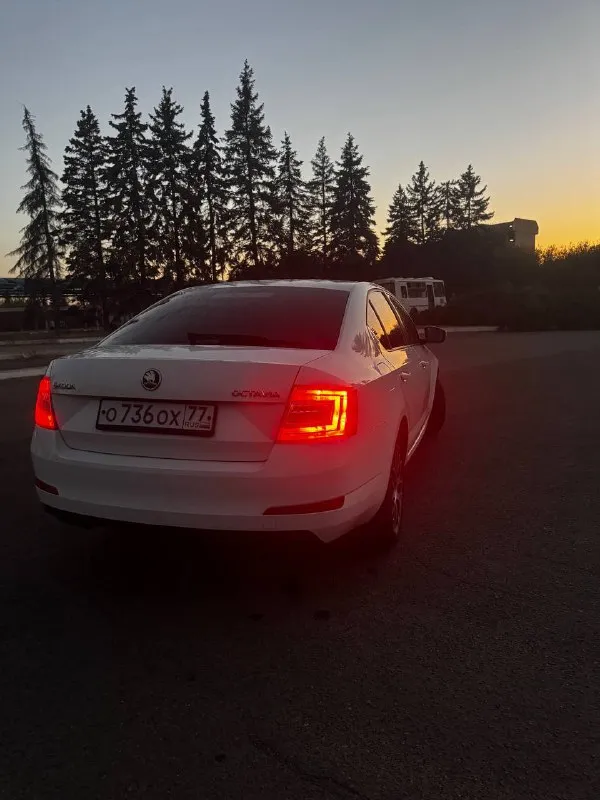Продам skoda octavia а7 1.4 tsi 2014 г. в ✅(чешской сборки, не путайте с калугой) автомобиль в идеальном состоянии, двигатель 1.4 tsi обслужен от а до я, родной пробег 235 000 км, комплектация очень богатая : 2х зонный климат контроль, подогревы сидений, туманки, круиз контроль, датчик света и дождя, датчик спущенных колес, складываемые электро зеркала с подогревом, полный эл. стекло пакет, сигнализация, кованные диски на летней резине, так же зима на родных легкосплавных дисках, тормозные диски и колодки новые(оригинал), машина не была в дтп,1 хозяин с автосалона, авто останетесь довольны, стекла все родные включая лобовое ! стоимость авто: ✅ 890 000 рублей ✅ телефон для связи: +7 949 485 64 94 - фотография - 5